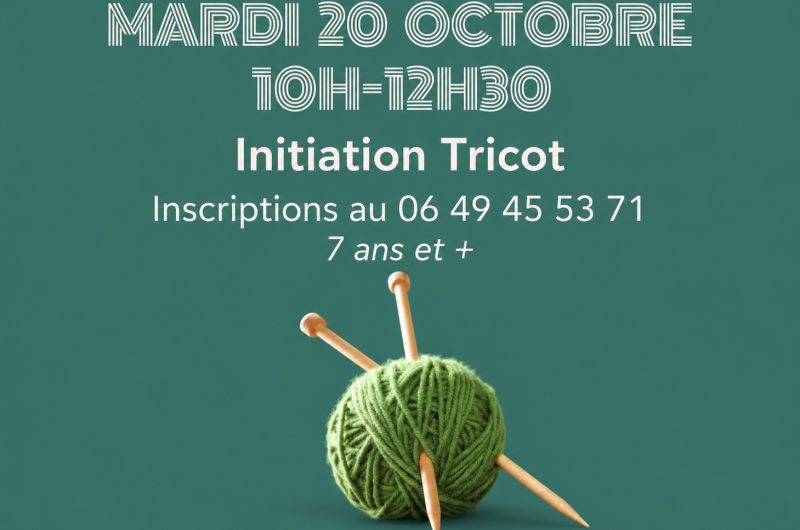 878818-affiche-dinitiation-au-tricot-1
