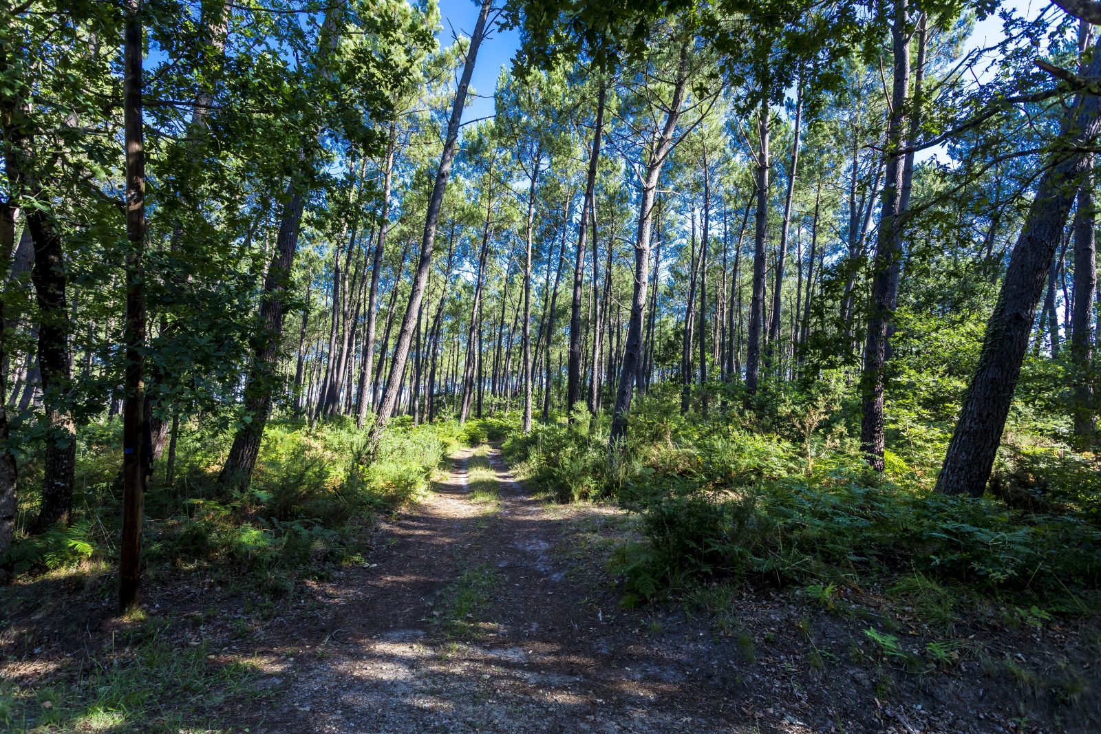 1-Circuit rando d’Arnaudin