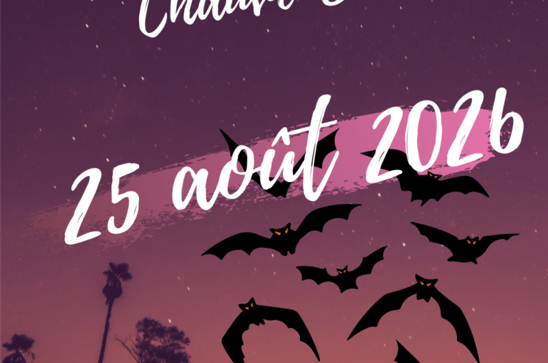 AFFICHE KATIA  – 7