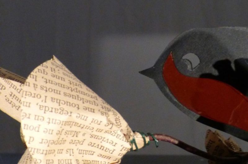 Copie de Copie de Dossier du rouge gorge – 1