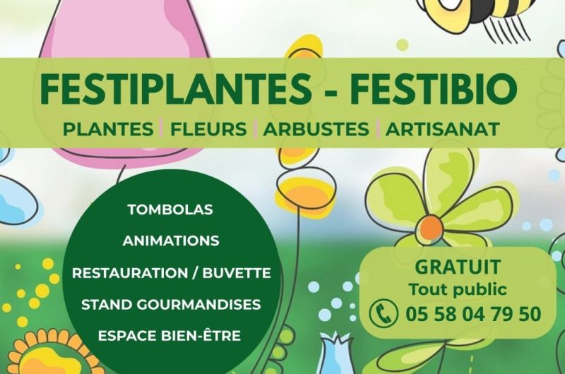 Affiche Festiplantes 2026 – 1