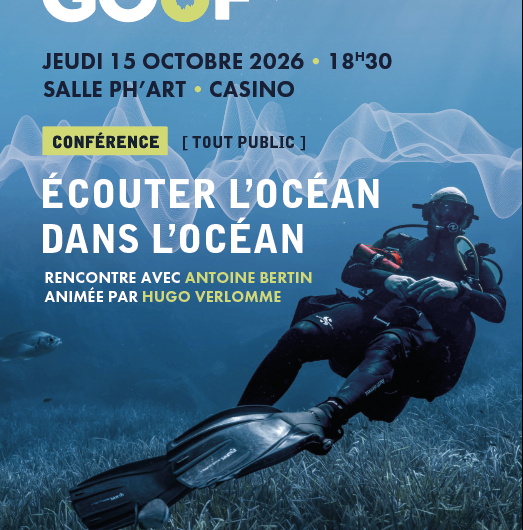 Affiche-Gouf-Conf-151026-1-