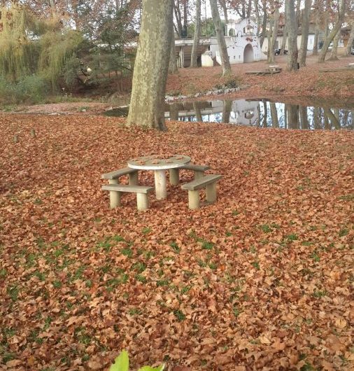 Aire-de-pique-nique-autour-du-Luy–2-