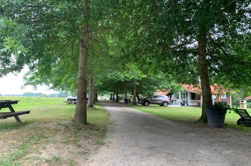 Allée entrée Dutouya