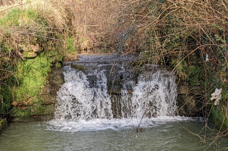 Arboretum Pouillon 2