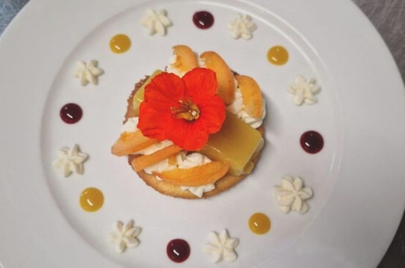 Design sans titre – 1