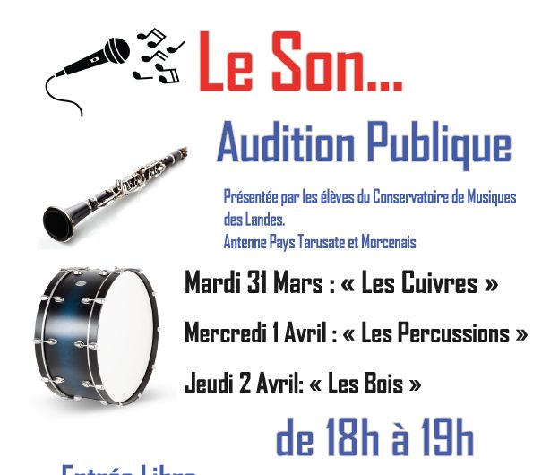 Audition-Publique-mardi-31-mars