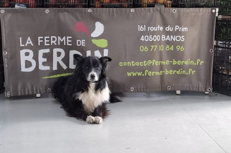 Banos_La Ferme de Berdin_@Magali Tauzin (3)