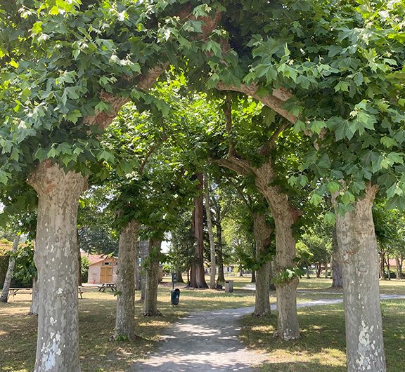 CLNT-LINXE-Parc Dufau (26)_BD