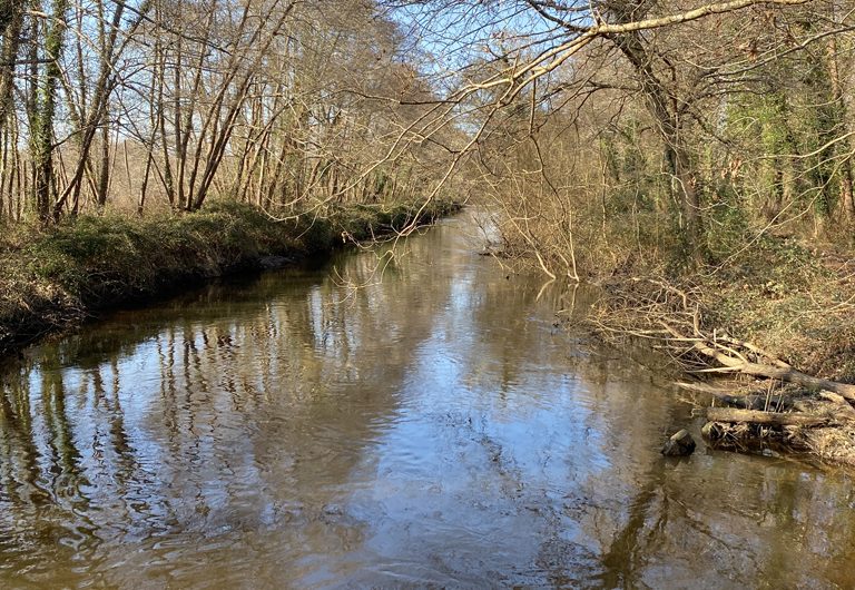 A Saint-Julien-en-Born, circuit du ruisseau du Courlis