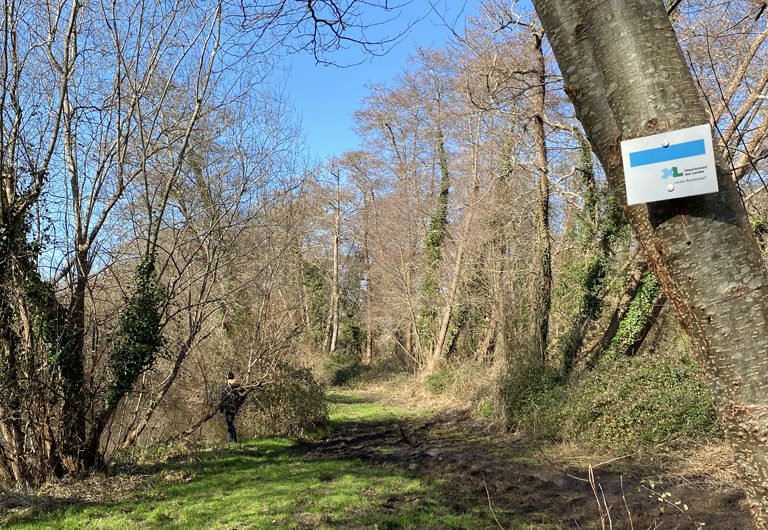 A Saint-Julien-en-Born, circuit du ruisseau du Courlis