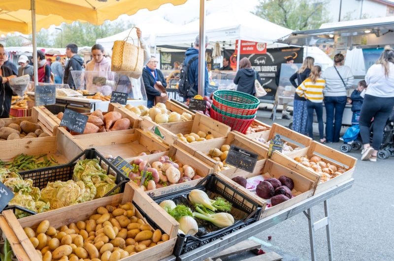 CLandesAtlantiqueSud-