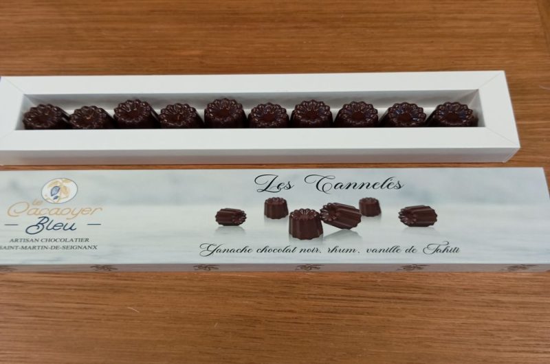 Cacoyer_bleu_2026_TS01