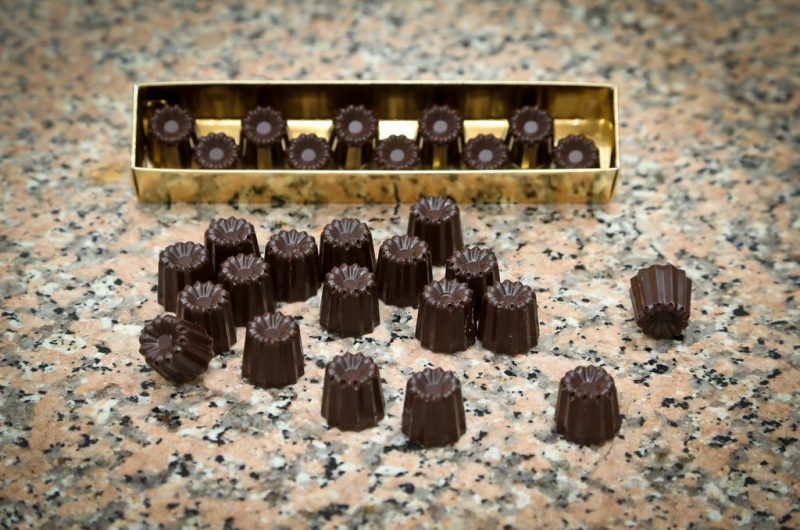 Cacoyer_bleu_2026_TS02