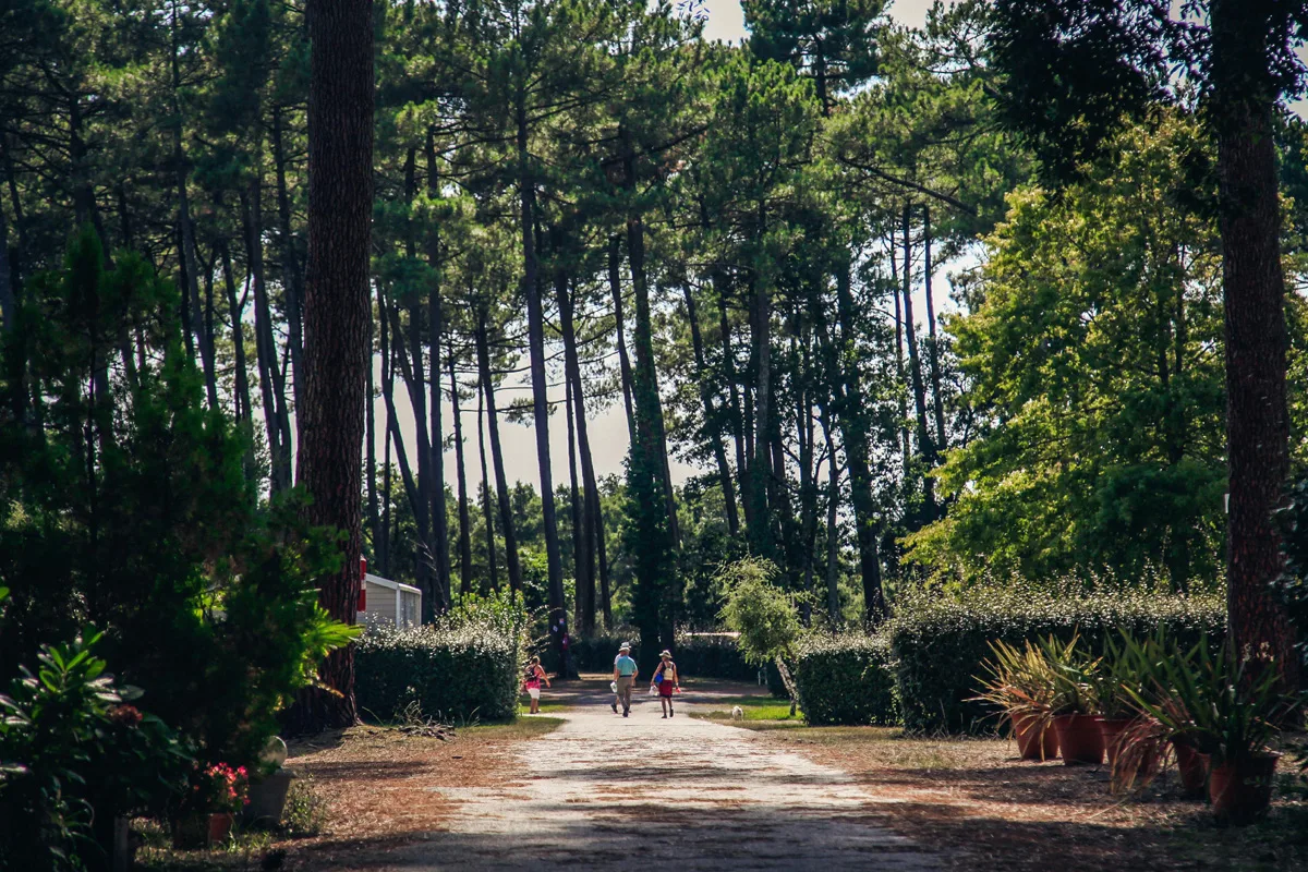 Camping-la-civelle-landes-atlantique-sud-cap–5-