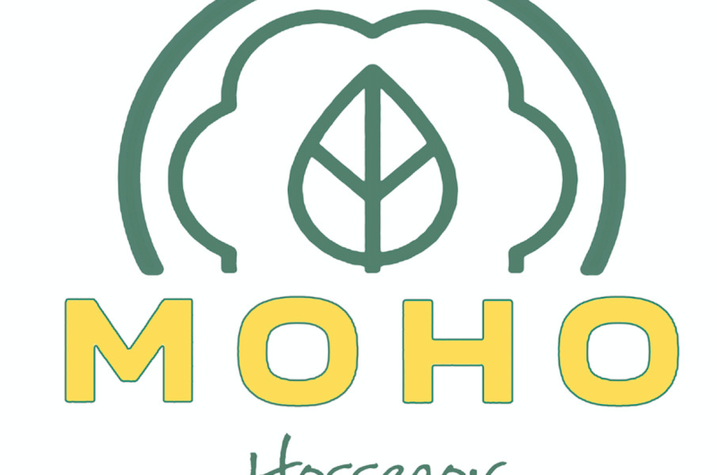 Capture d’écran 2023-03-20 à 15.27.40