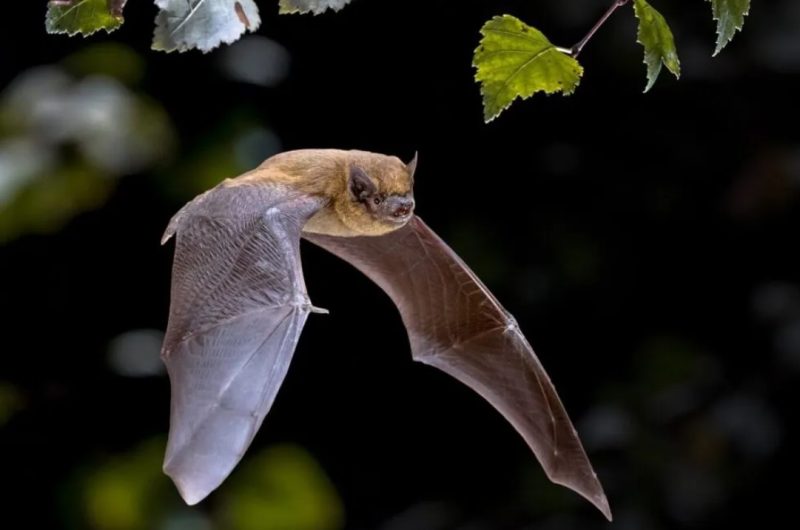 Capture d’écran 2026-03-12 122458