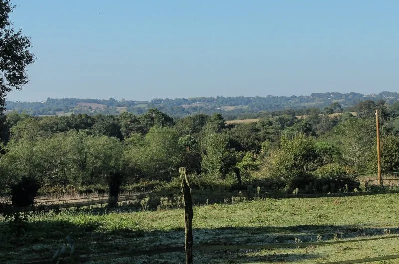 Carbonel Sournia Taule – vue coteaux – 2020©vio.photographe