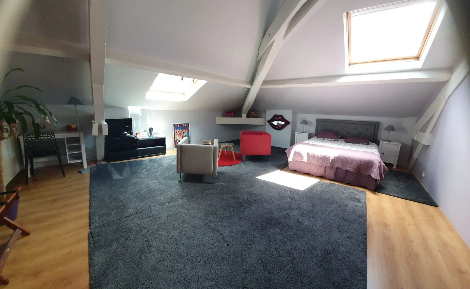 Ch. Les myosotis vue ensemble