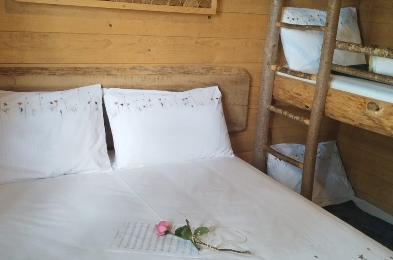 Chambre papyjotte 2025 ©Hayet