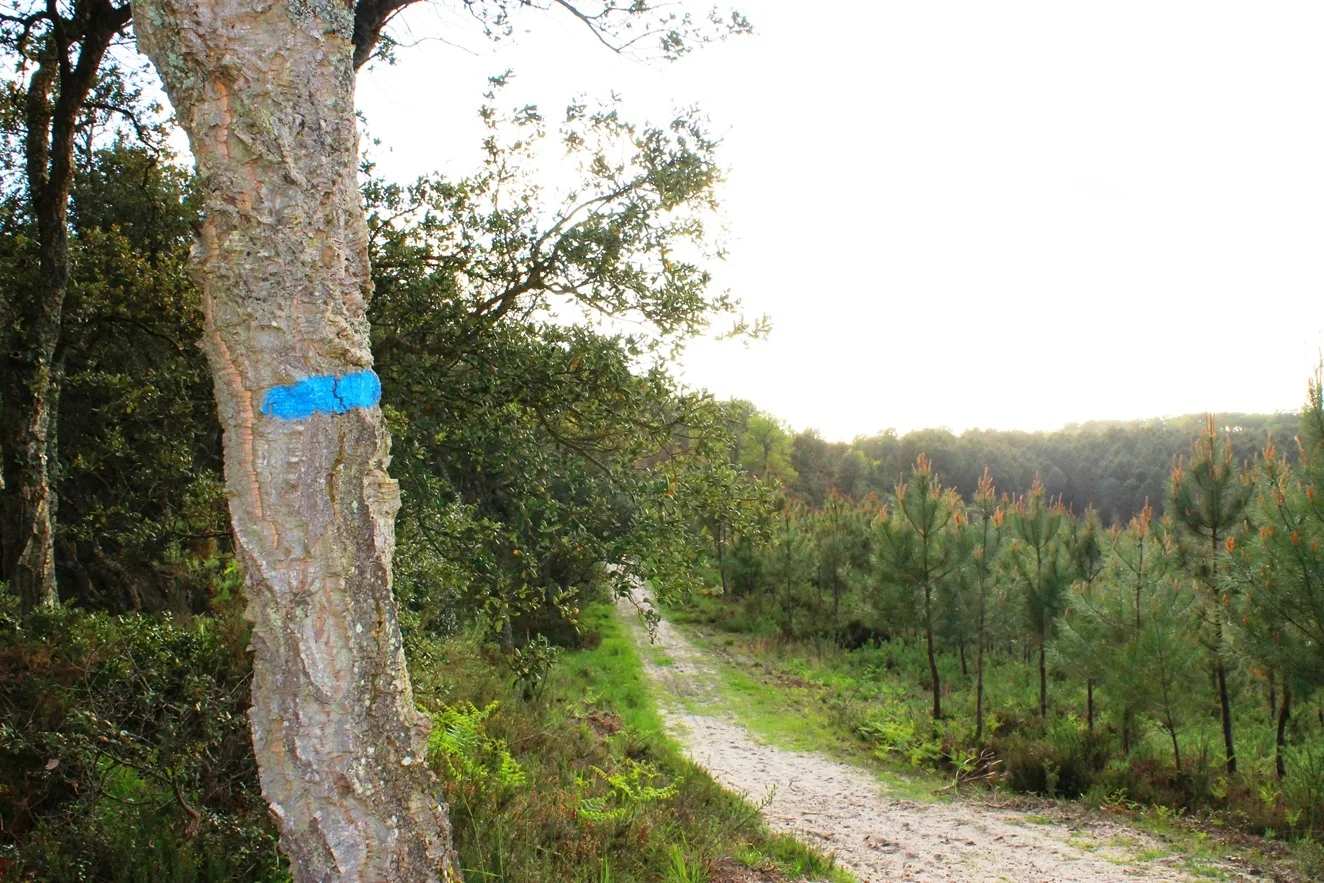 Le circuit bleu des «Tucs»