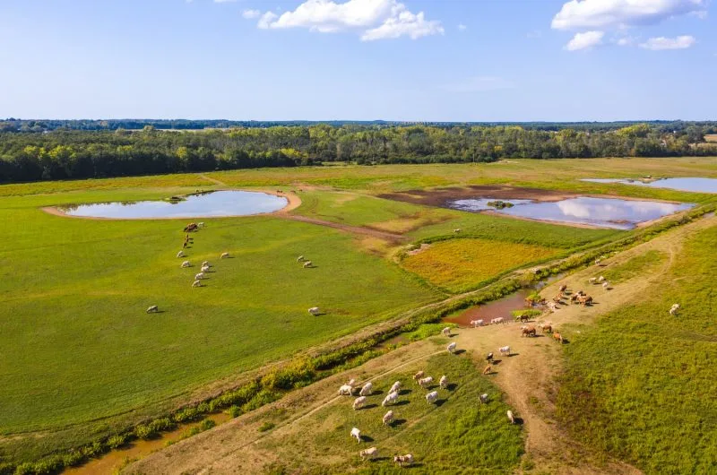 Circuit_de_la_grande_barthe – © OTI LAS (4)