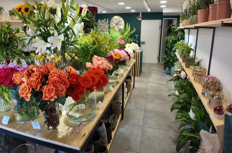 DJI_20250228101446_0044_D