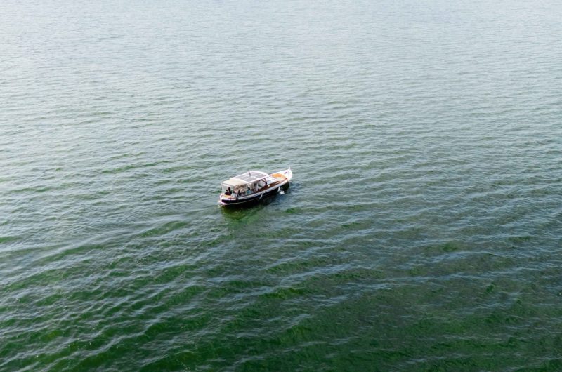 DRONE BISCA PAPILLON VWEB-6