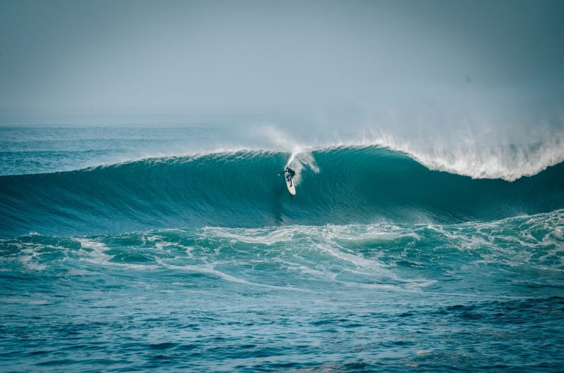 DSC05924DVDTRAN- (1)