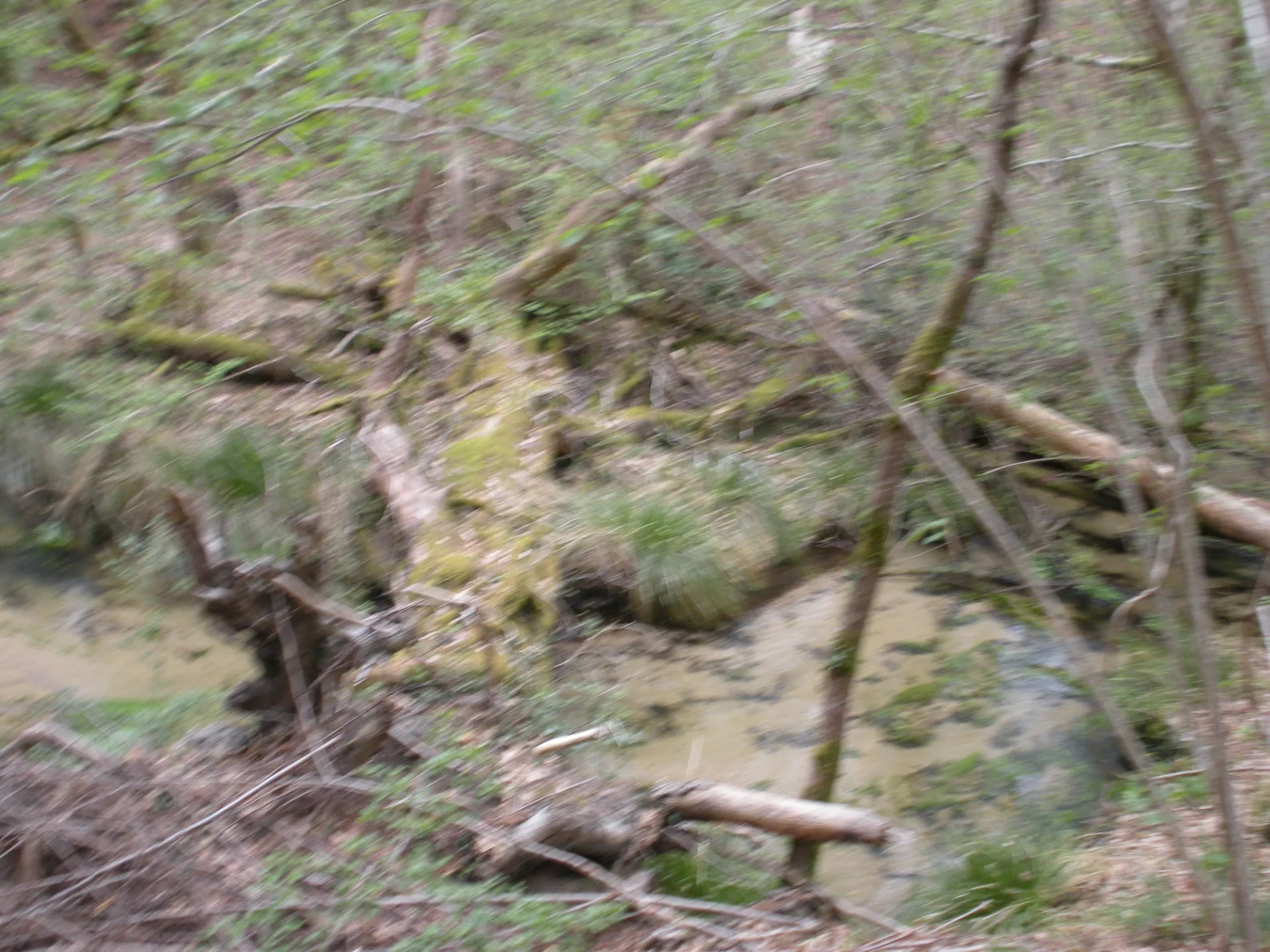 A Onesse-Laharie, circuit du vallon du Coulin