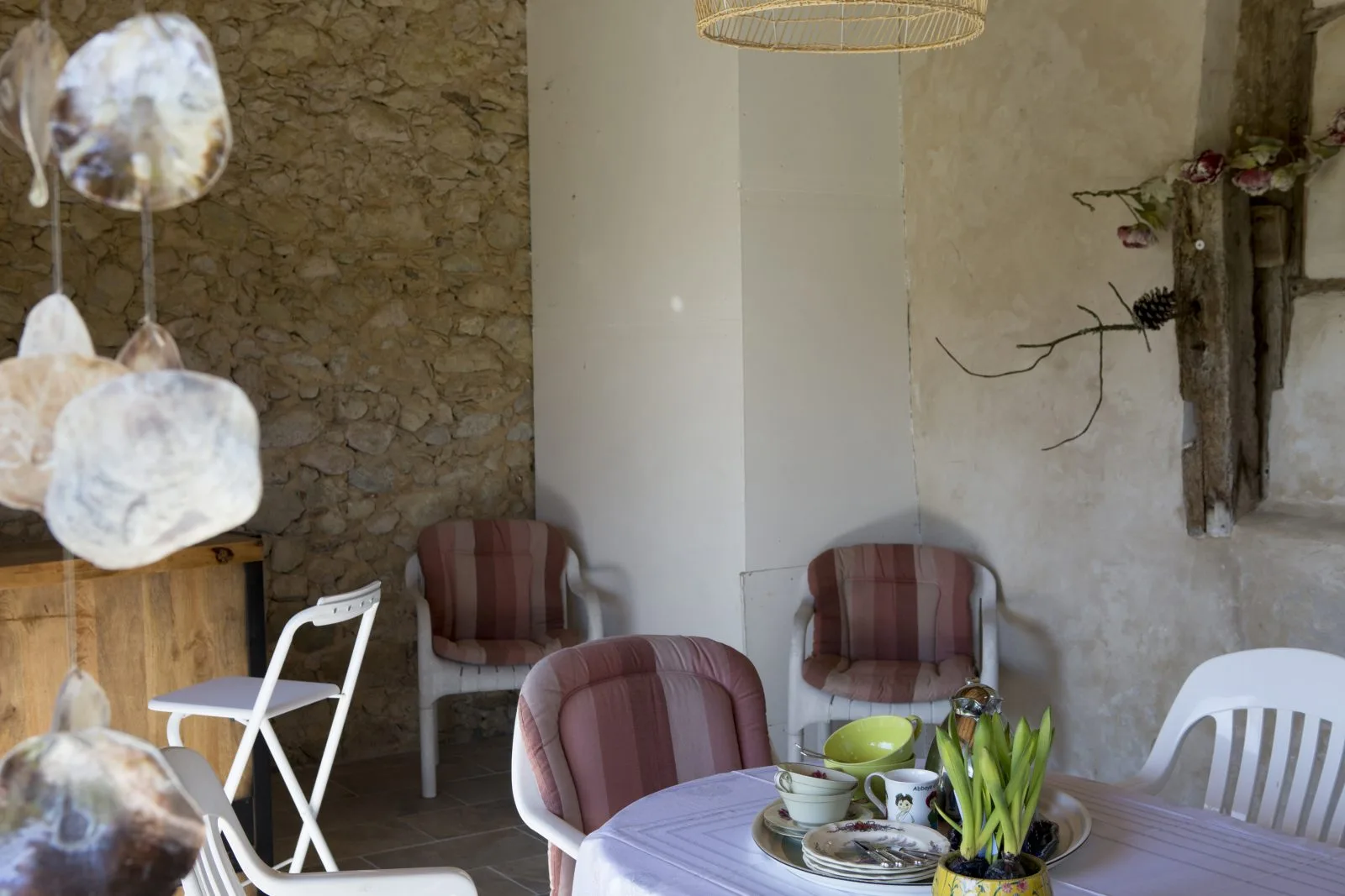 Des pins et des chênes _01A0980