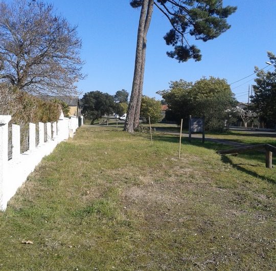 Entre la piste cyclable et la maison (Copier)