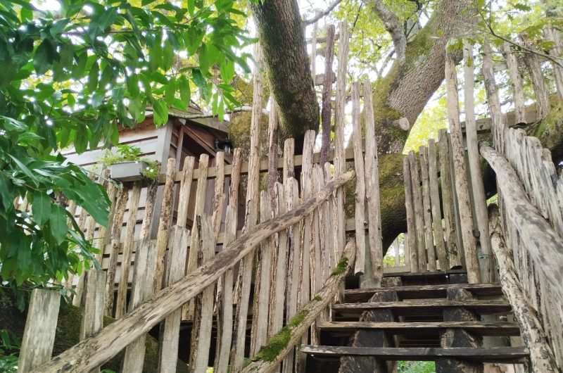 Escalier Papyjotte 2025 ©Hayet