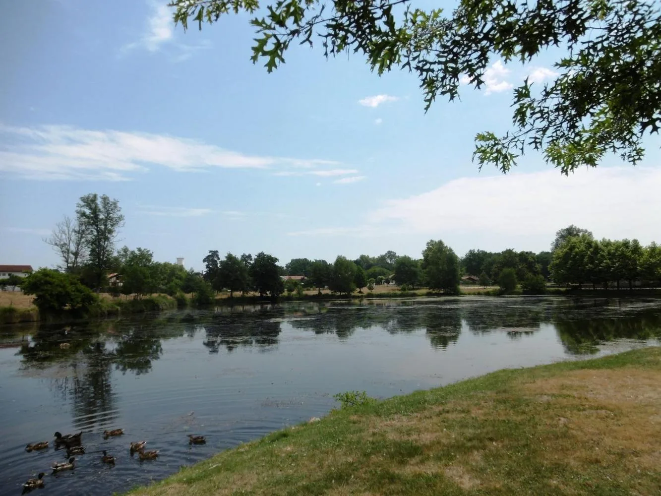 Etang-2-bbe75add875147819a45087e327e2153