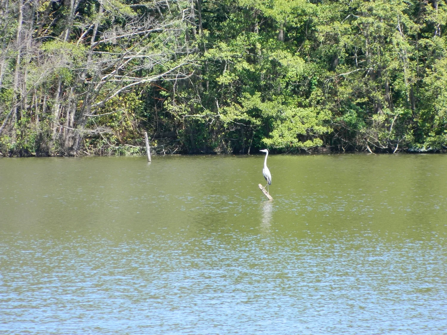 Etang-de-Hontanx-copyright-elise-cassaigne