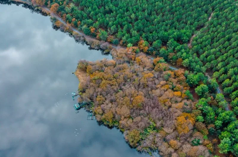 Etang de Moisan Messanges Landes Atlantque Sud (2)