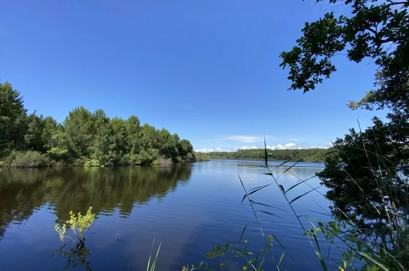 Etang de la prade Messanges Landes Atlantique Sud