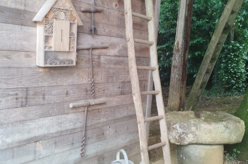 Extérieur déco Papyjotte 2025 ©Hayet.