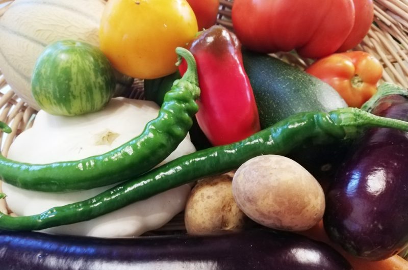 Ferme Coumet – Légumes Bio