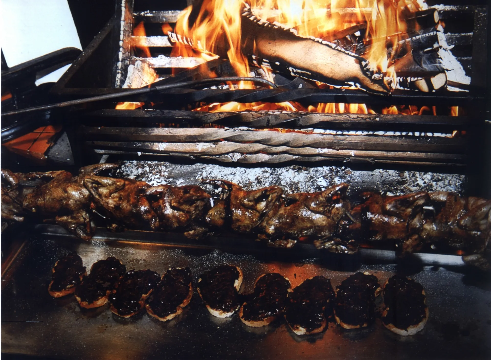 Feu-cheminee-avec-palombes