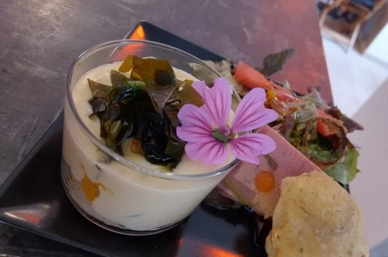 Fleur_Matou timbré_Moliets_Landes Atlantique Sud