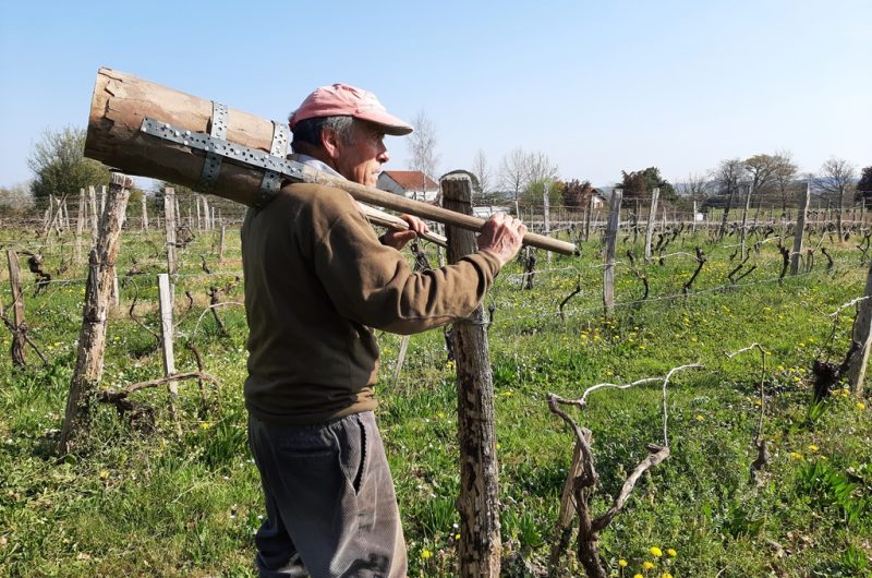 François et sa demoiselle (3)