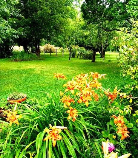 Gîte Villa Lortin – Extérieurs