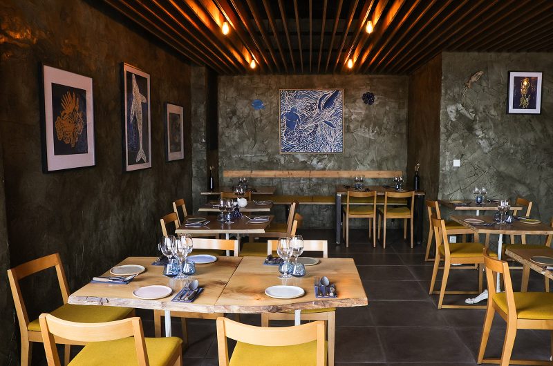 Goustut Capbreton (5)