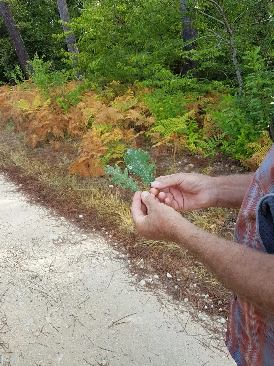 Greeter Thierry©CarineCouerbe (53)