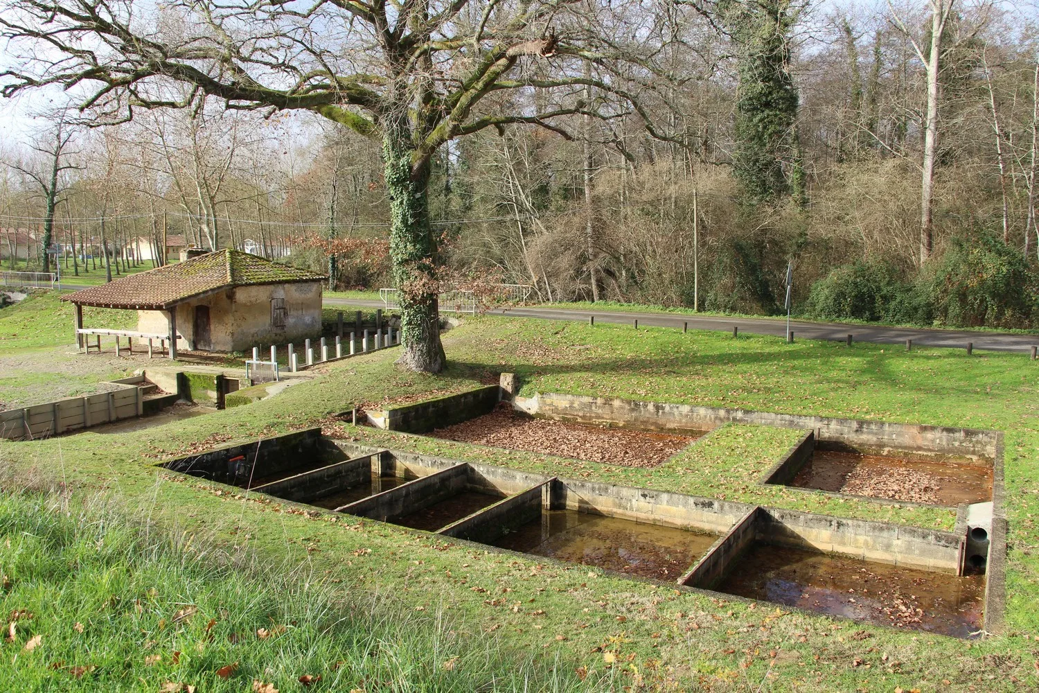 Greeters-Hontanx-CDT