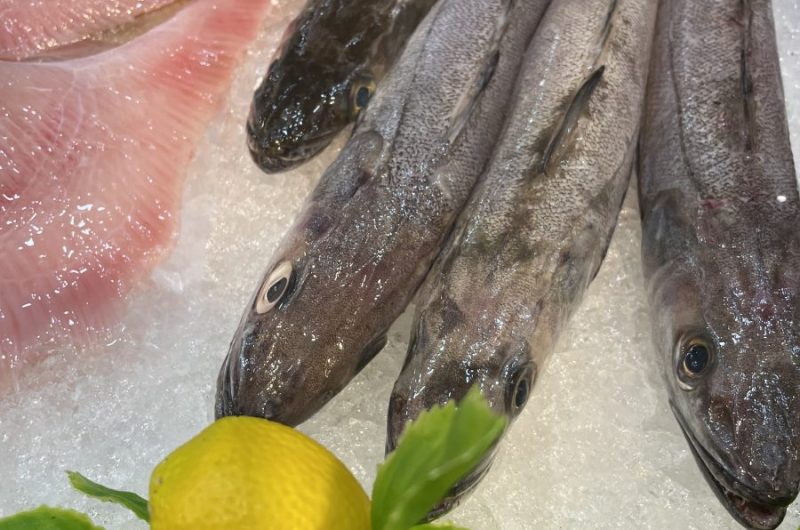 Haddock