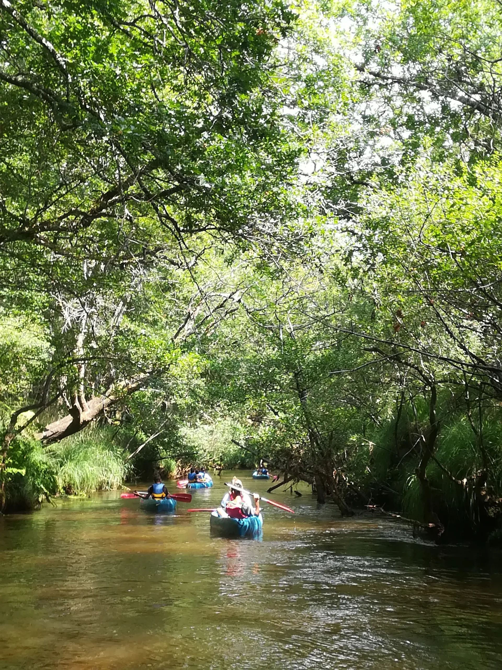 IMG-20180720-160408-credit-lionel-coutin-2