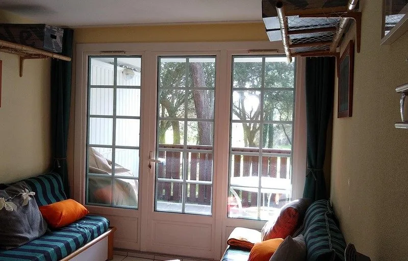 IMG_20200305_161930955-op