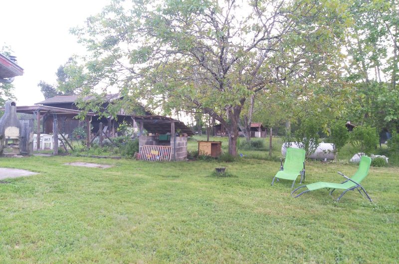 IMG_20230510_183904_448